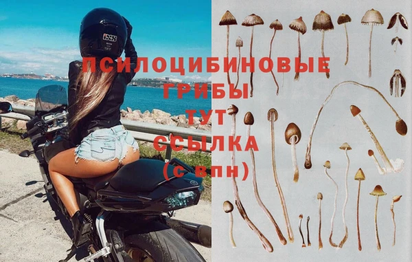 МДПВ Осташков