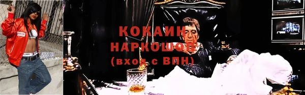 шишки Белоозёрский