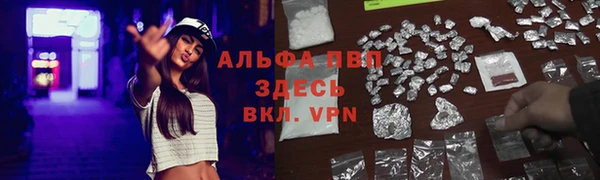 крисы Богородск