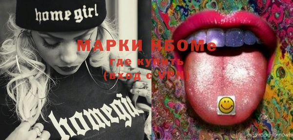 шишки Белоозёрский