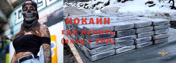 шишки Белоозёрский