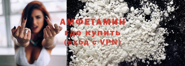 шишки Белоозёрский