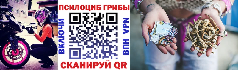 Псилоцибиновые грибы Psilocybine cubensis  купить   Олёкминск 
